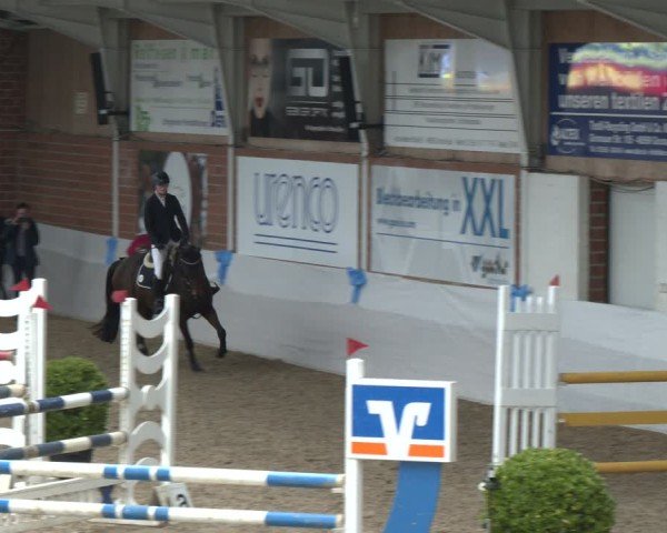 Reitturnier Gronau 2024