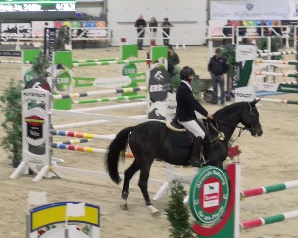 Reitturnier Borken 2024