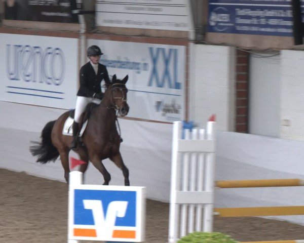 Reitturnier Gronau 2024