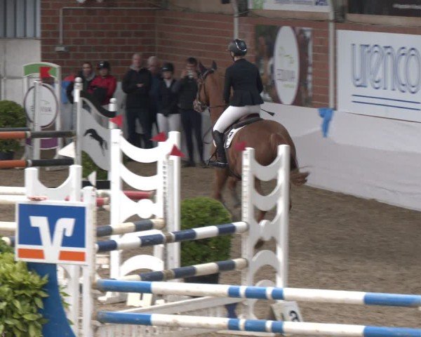 Reitturnier Gronau 2024