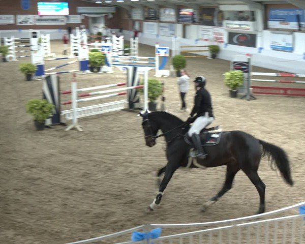 Reitturnier Gronau 2024