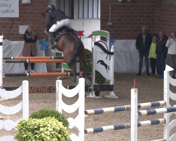 Reitturnier Gronau 2024