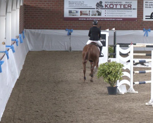 Reitturnier Gronau 2024