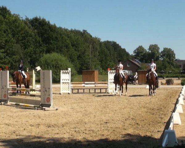 Vinnummer Reitertage 2013