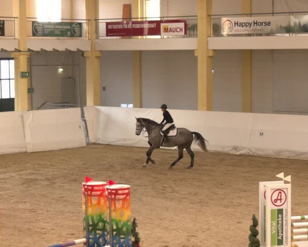 Reitturnier Stadl-Paura 2024