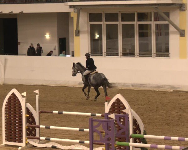 Reitturnier Stadl-Paura 2024