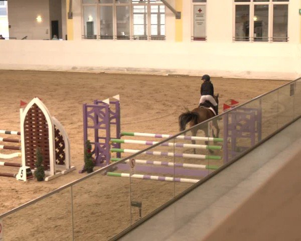 Reitturnier Stadl-Paura 2024