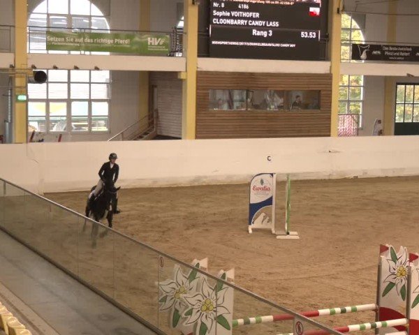 Reitturnier Stadl-Paura 2024