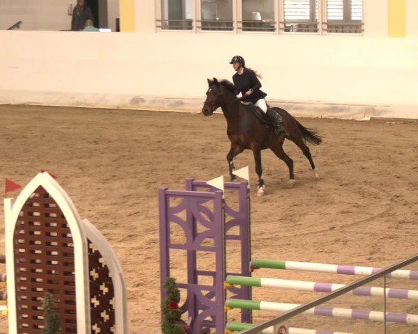 Reitturnier Stadl-Paura 2024
