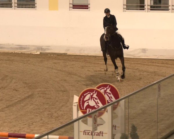 Reitturnier Stadl-Paura 2024