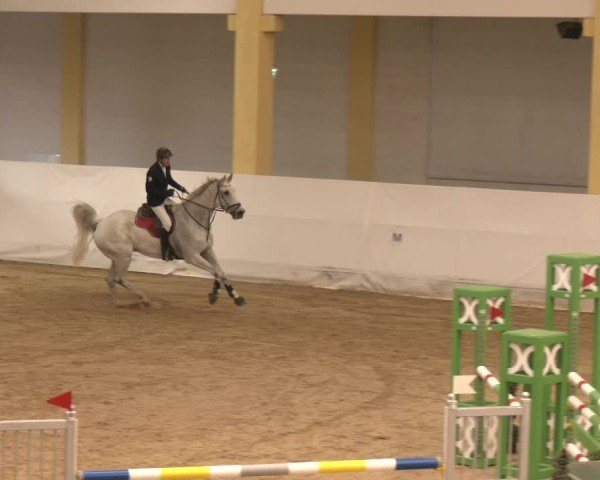 Reitturnier Stadl-Paura 2024