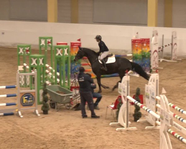 Reitturnier Stadl-Paura 2024