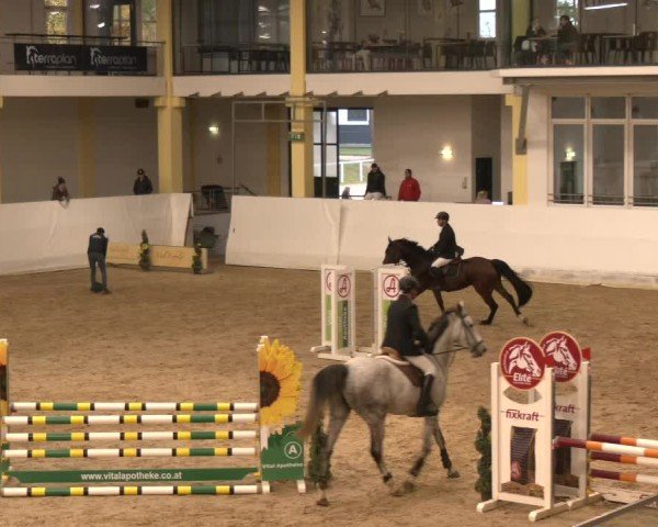 Reitturnier Stadl-Paura 2024