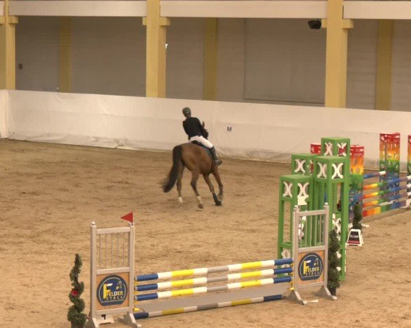 Reitturnier Stadl-Paura 2024