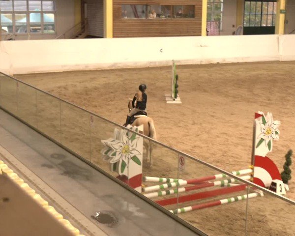 Reitturnier Stadl-Paura 2024