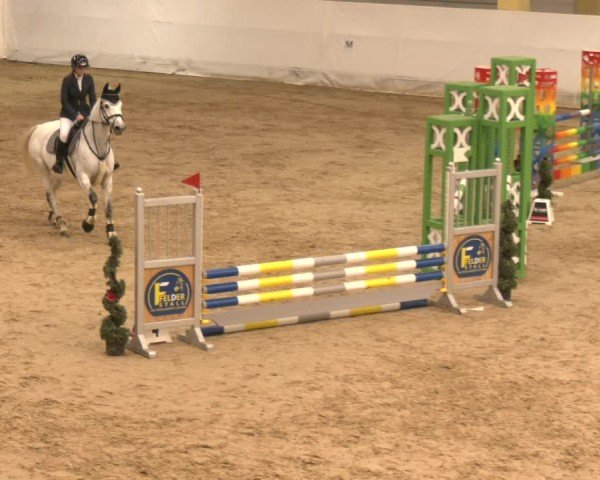 Reitturnier Stadl-Paura 2024
