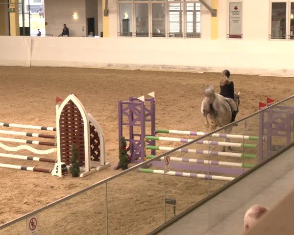 Reitturnier Stadl-Paura 2024
