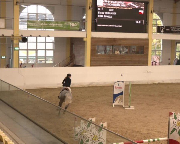 Reitturnier Stadl-Paura 2024