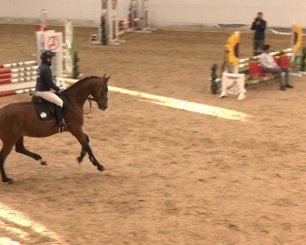 Reitturnier Stadl-Paura 2024