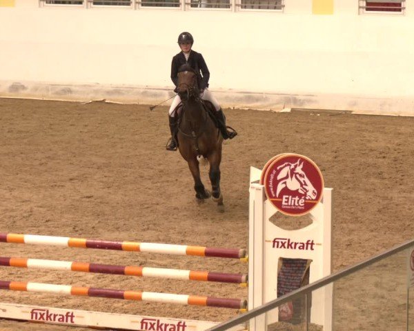 Reitturnier Stadl-Paura 2024