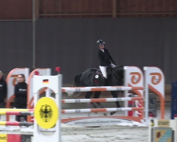 Reitturnier Tremsdorf, Eichenhof 2024