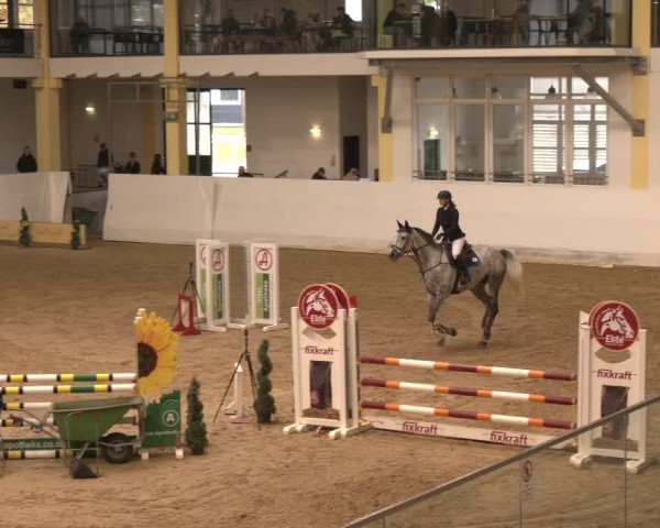 Reitturnier Stadl-Paura 2024