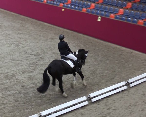 Reitturnier Krumke 2024