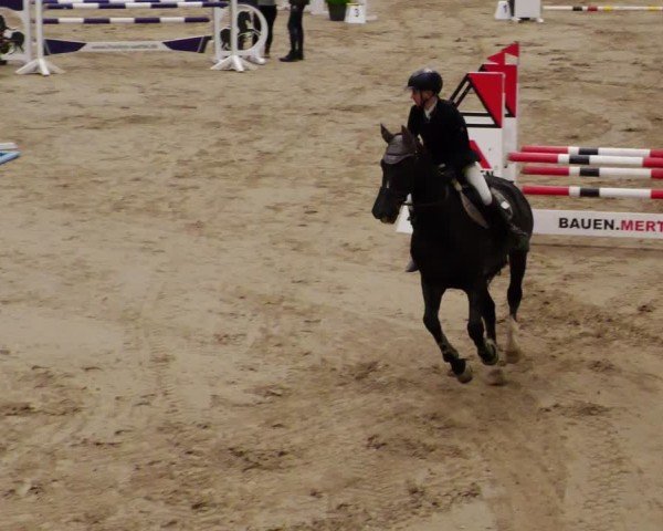 Reitturnier Neuwied 2024