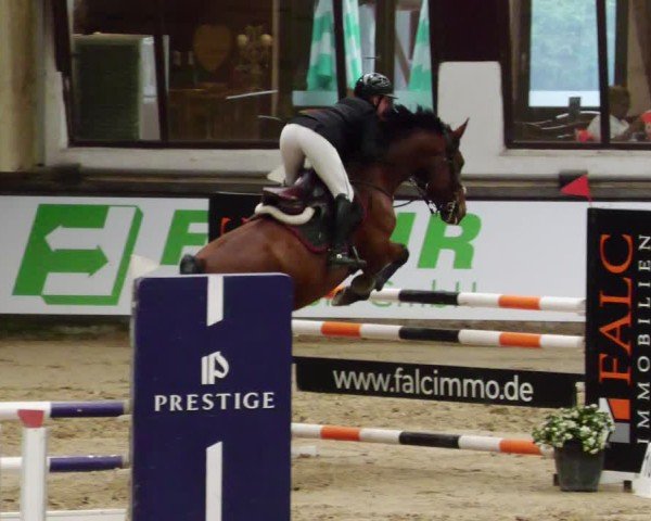 Reitturnier Neuwied 2024