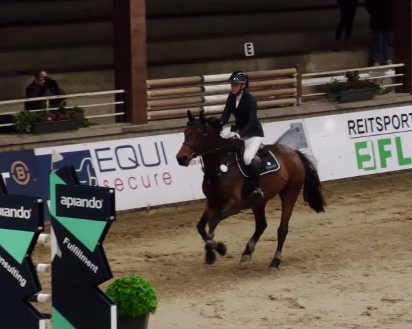 Reitturnier Neuwied 2024