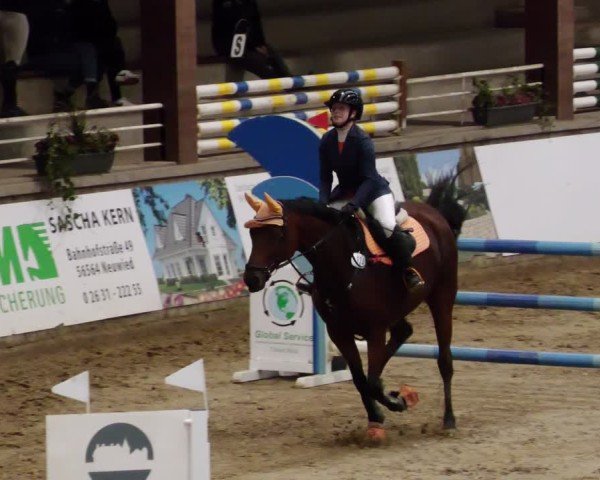 Reitturnier Neuwied 2024