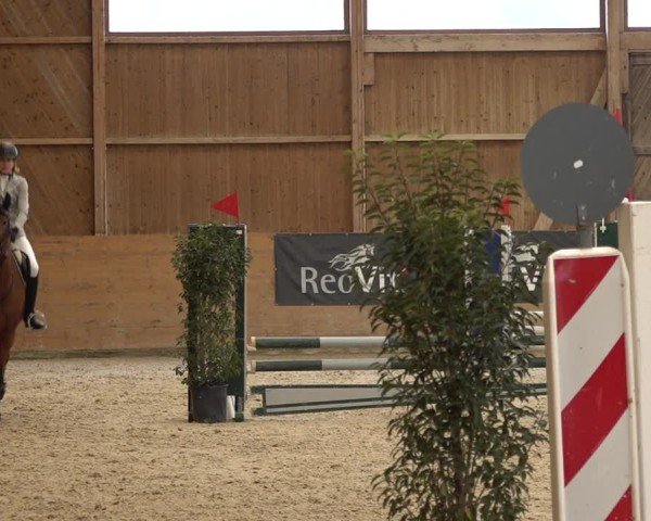 Reitturnier Holziken 2024