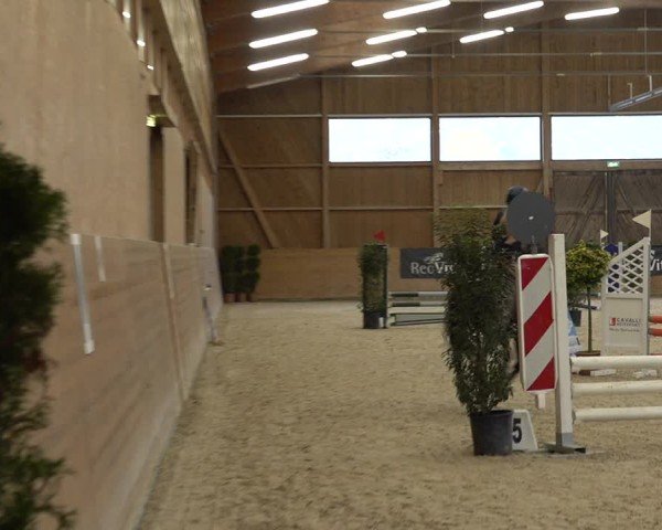 Reitturnier Holziken 2024