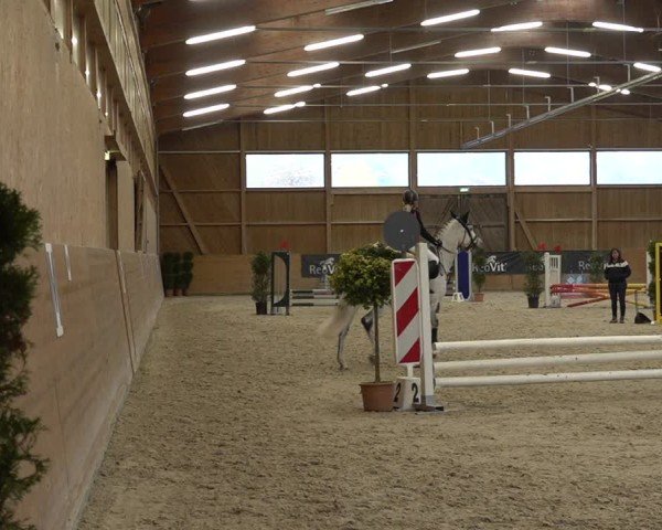 Reitturnier Holziken 2024