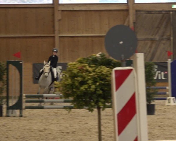 Reitturnier Holziken 2024