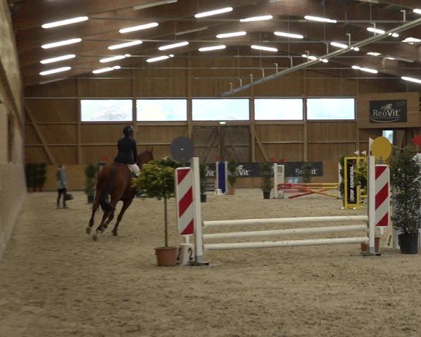 Reitturnier Holziken 2024