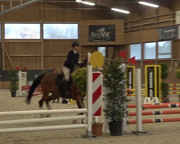 Reitturnier Holziken 2024