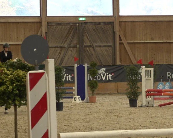 Reitturnier Holziken 2024