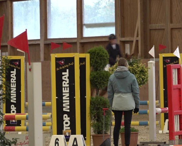 Reitturnier Holziken 2024