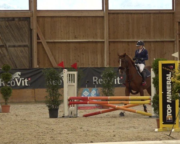 Reitturnier Holziken 2024