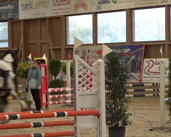Reitturnier Holziken 2024
