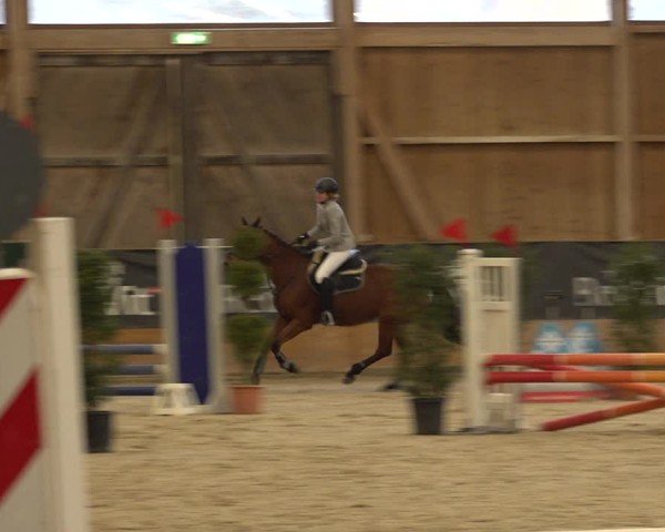 Reitturnier Holziken 2024