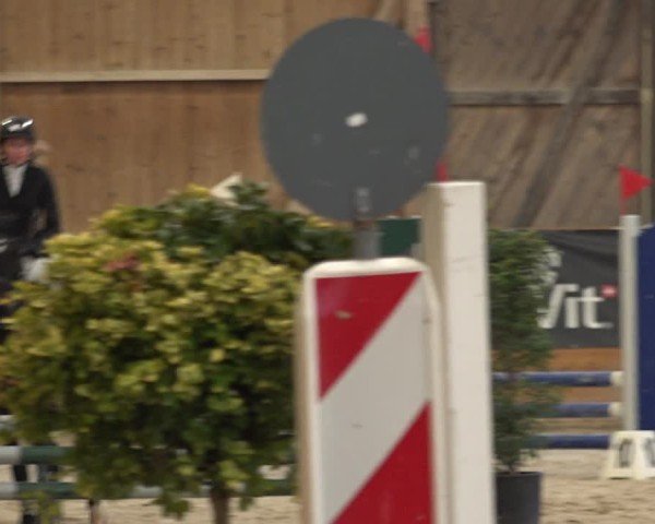 Reitturnier Holziken 2024
