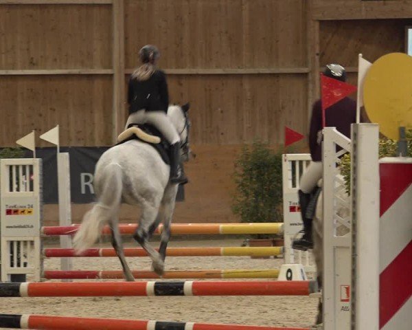 Reitturnier Holziken 2024