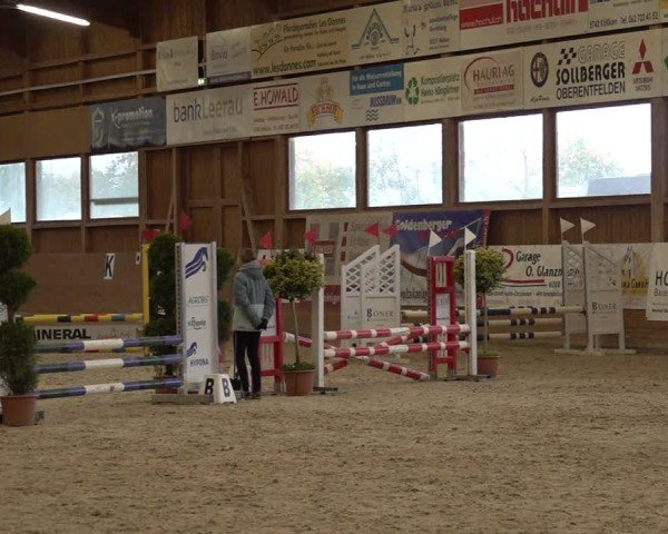 Reitturnier Holziken 2024