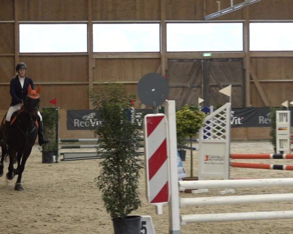 Reitturnier Holziken 2024