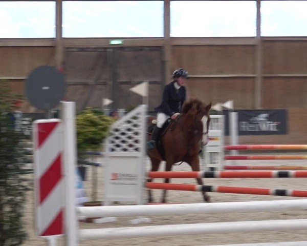 Reitturnier Holziken 2024