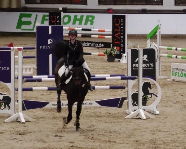 Reitturnier Neuwied 2024