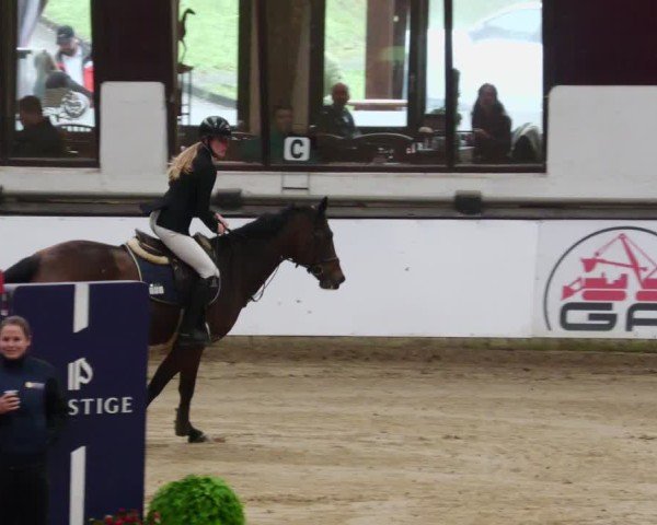 Reitturnier Neuwied 2024