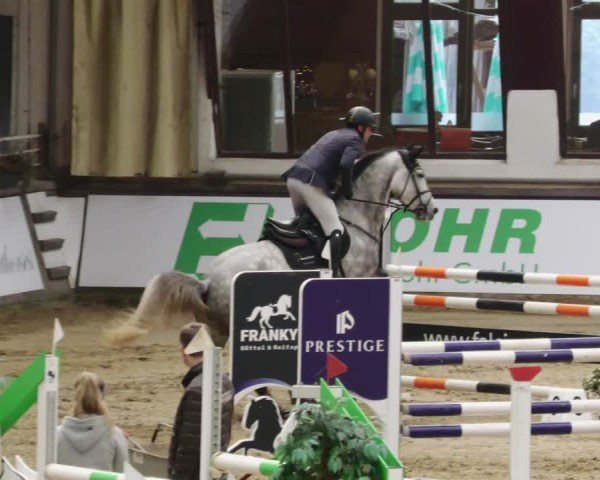 Reitturnier Neuwied 2024